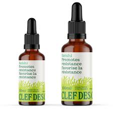 T. Reishi 100ml (100ml)
