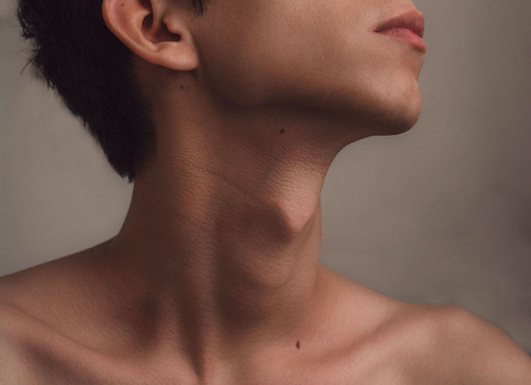 Surrénale et la Thyroïde