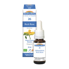 Helianthemum (20ml)