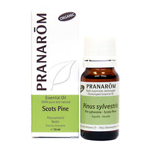 Pin Sylvestre (10ml)