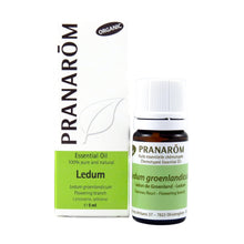 Lédon De Groenland (5ml)