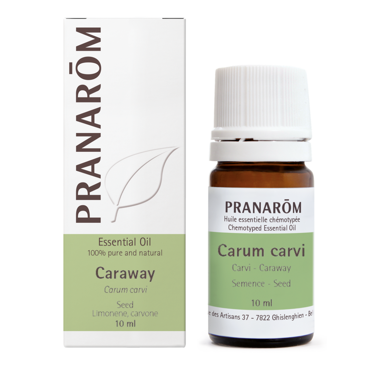 Caraway - Seed (10ml)