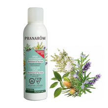 Ravintsara Tea Tree Spray (150ml)