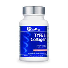 Type Ii Collagen (60 Vcaps)