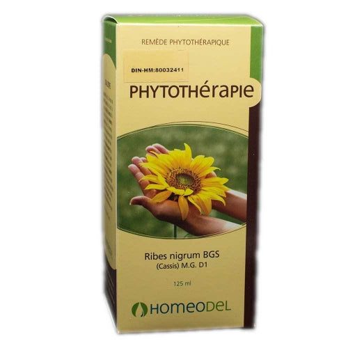 Gemmotherapie Ribes Nigra (120ml)