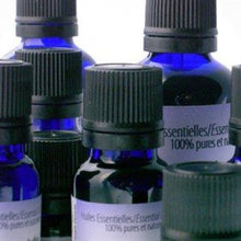 Ginger Essential Oil (15ml)