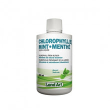 Chlorophyll Mint (500ml)