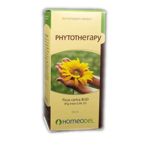 Gemmotherapie Ficus Carica (120ml)