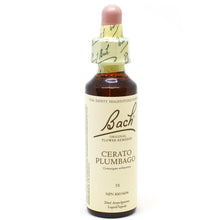 Bach Flower Remedy-leadwort (20ml)