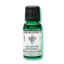 Eucalyptus Essential Oil (15ml)
