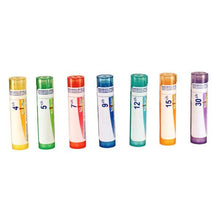 Aconitum Napellus 30ch (80 Granules)