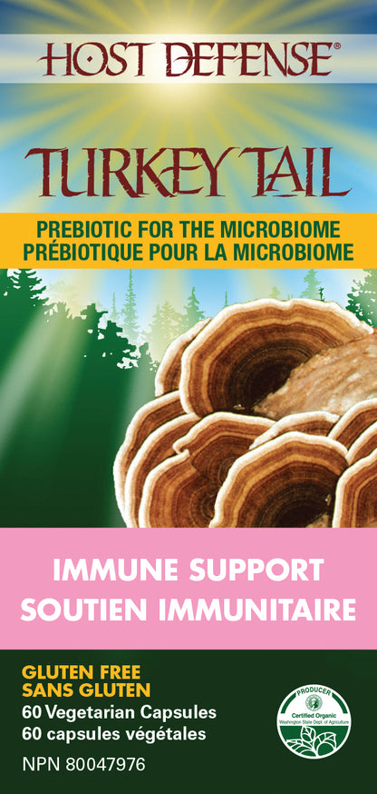 Turkey Tail (60 Caps)