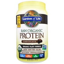 Proteine Raw Bio - Chocolat (664g)