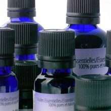 Sweet Fennel Essential Oil (15ml)
