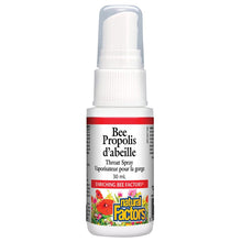 Bee Propolis Spray (30ml)